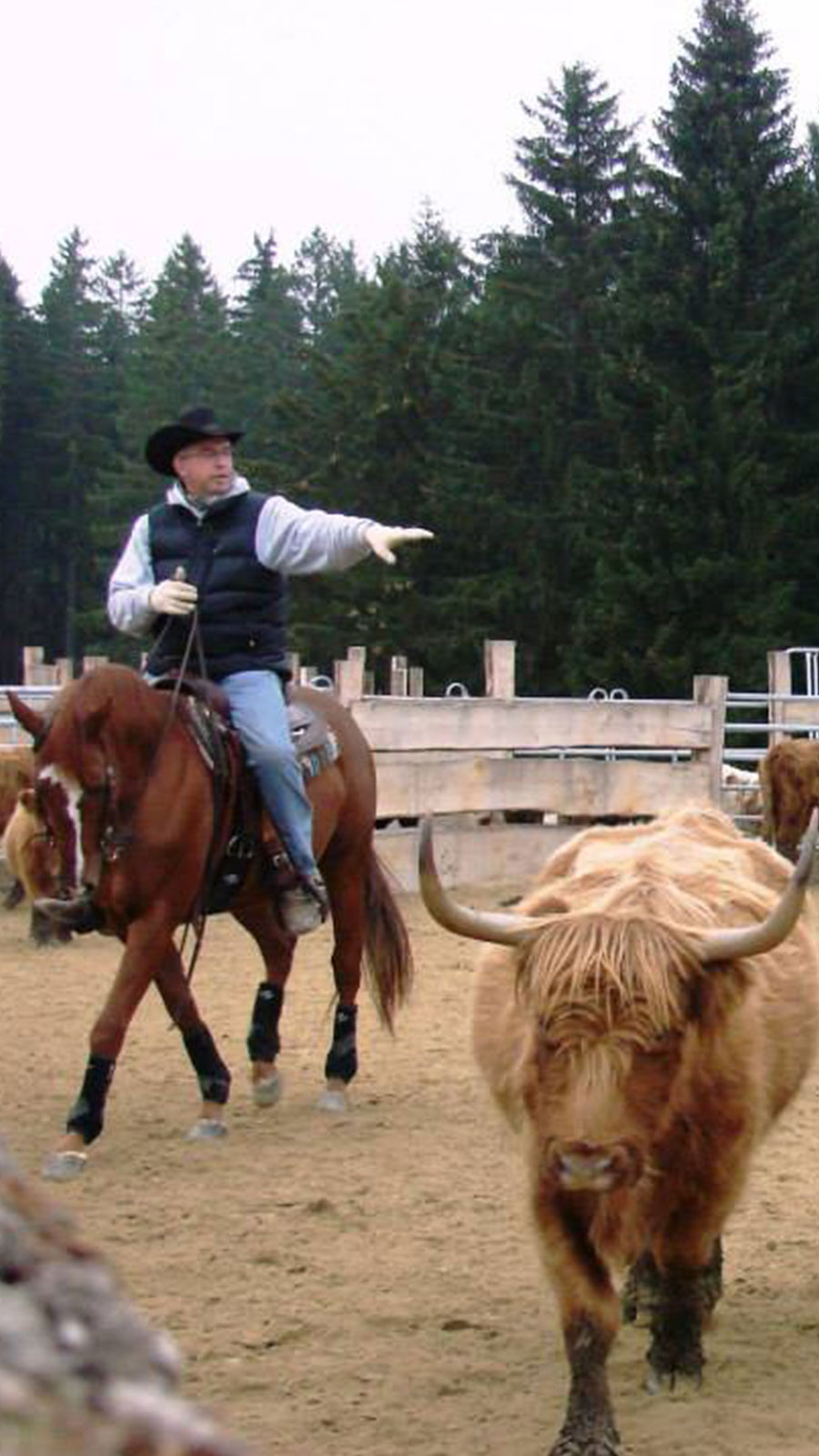 Joedy_Cunningham_Horseman_Horsemanship_Cowwork_Reining_foto03